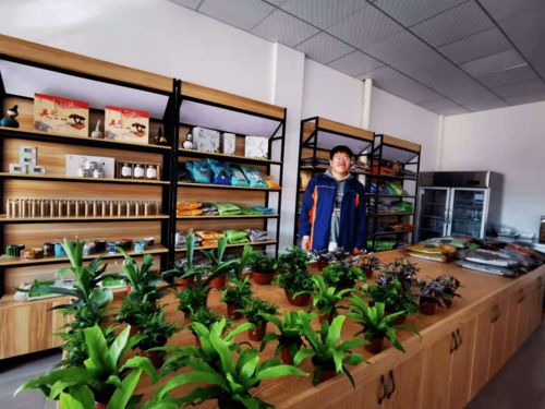 湖州農(nóng)校學(xué)生創(chuàng)業(yè)孵化中心正式開業(yè)了