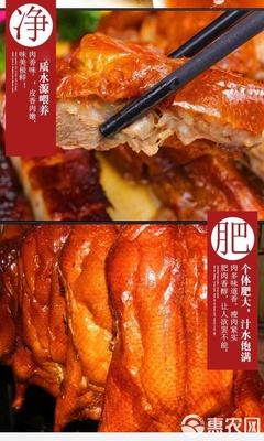 番禺區新鮮成品整只燒鴨廣州發貨